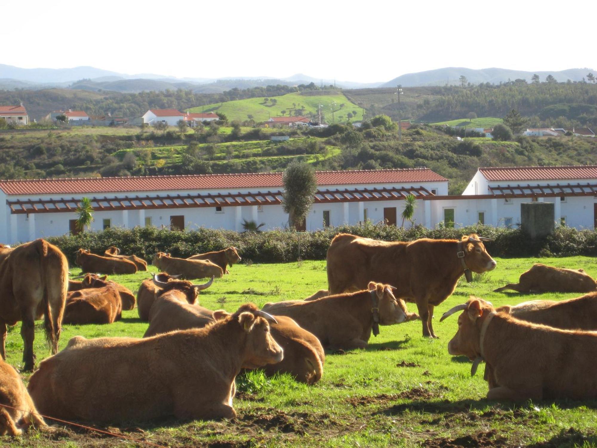 Апартаменты Quinta De Moledos Алжезур Экстерьер фото